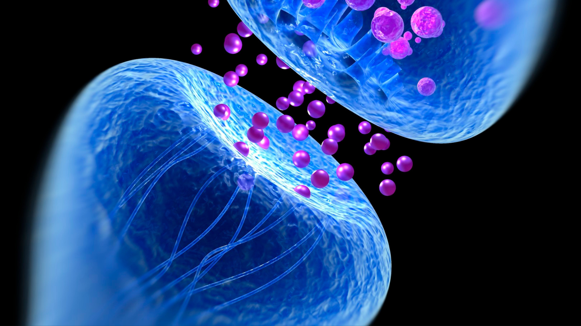 mobilizzazione neurale