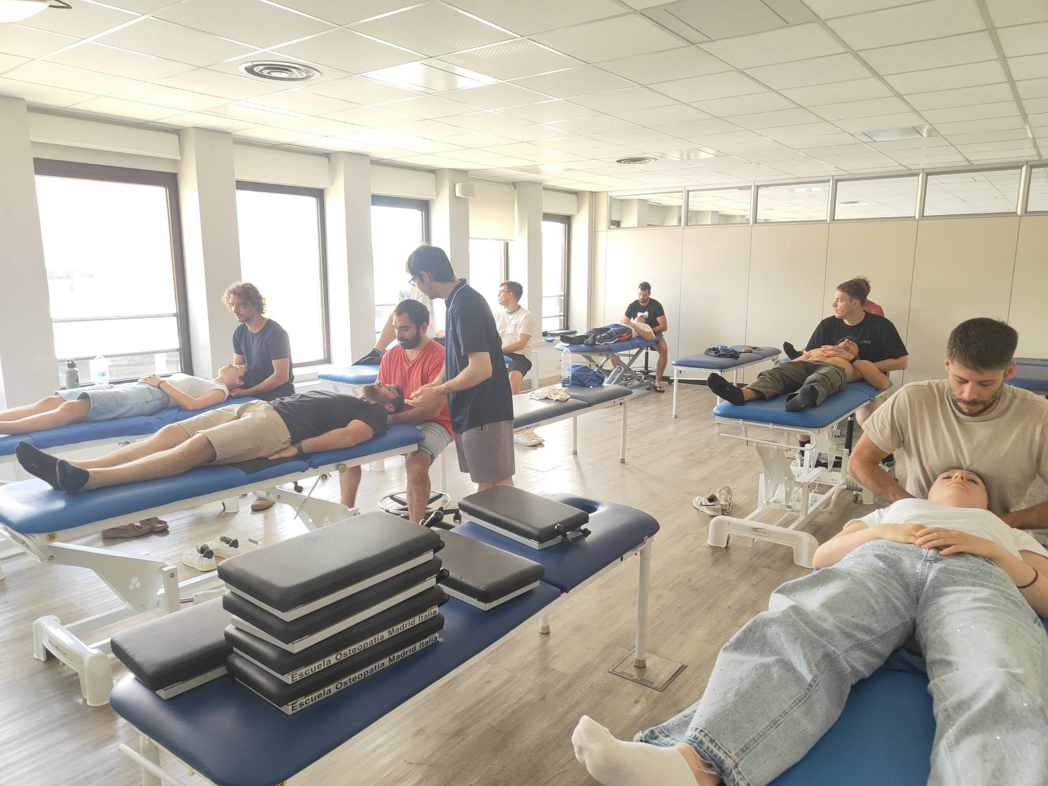master tecniche manuali eom italia