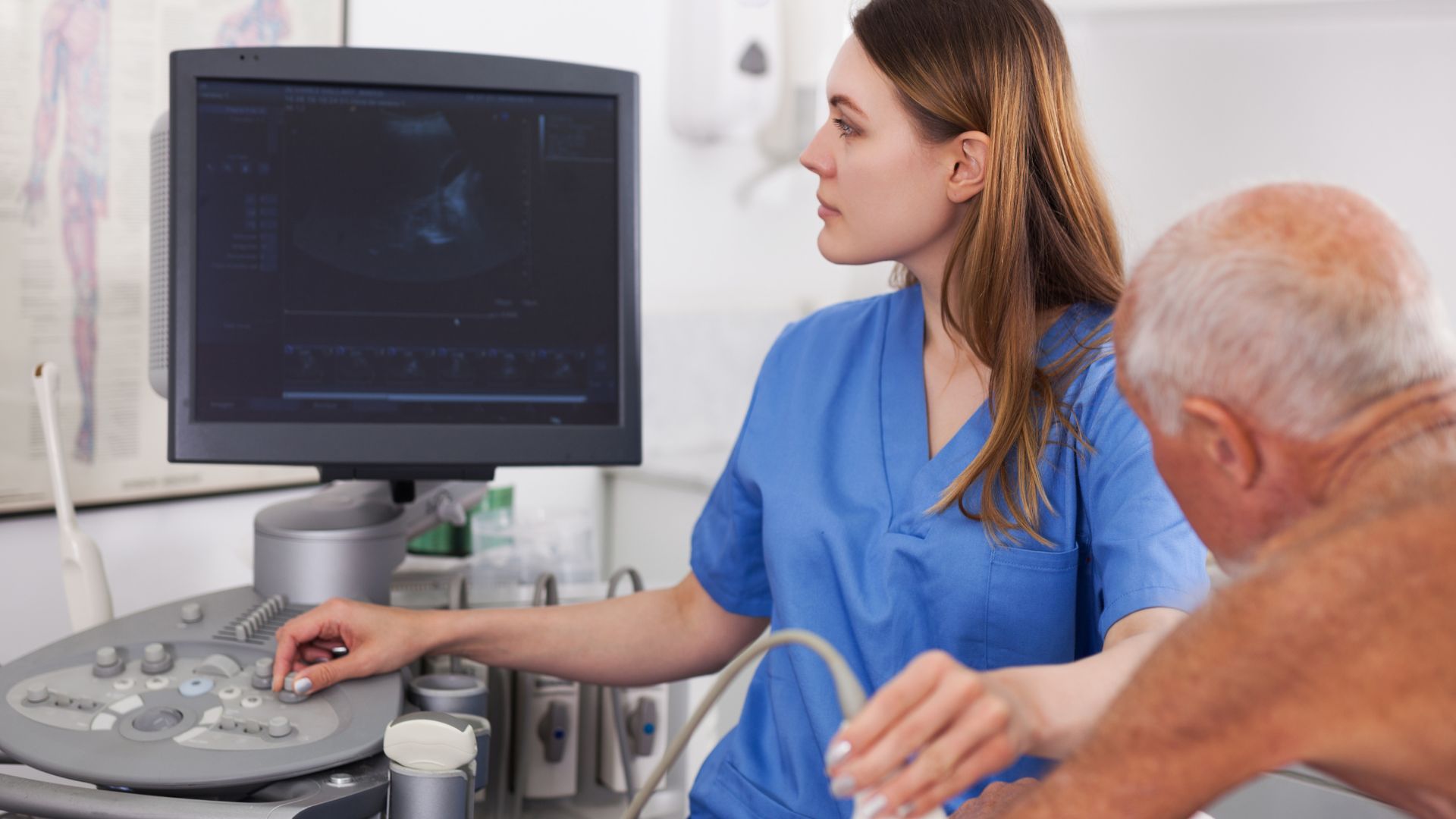sonoanatomia